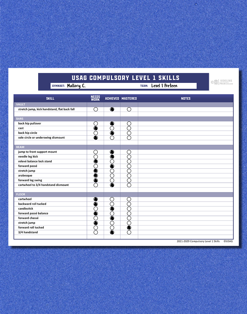 Level 1 Skill Tracker Notepad