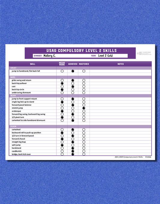 Level 2 Skill Tracker Template
