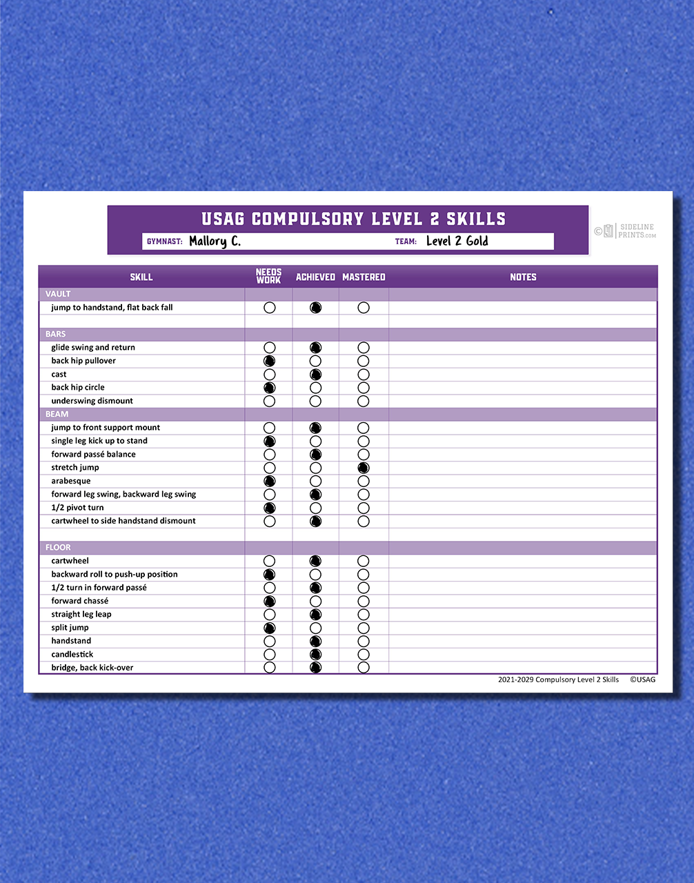 Level 2 Skill Tracker Notepad