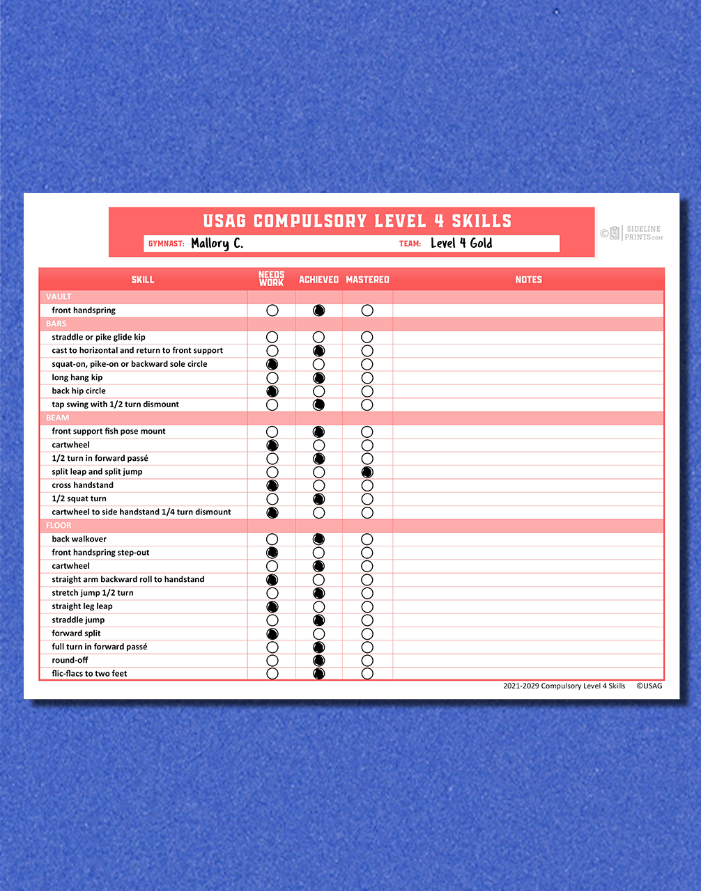 Level 4 Skill Tracker Notepad