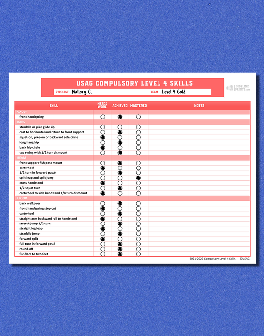 Level 4 Skill Tracker Template
