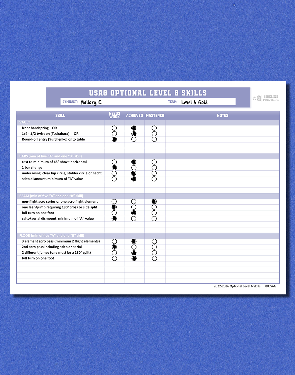 Level 6 Skill Tracker Notepad